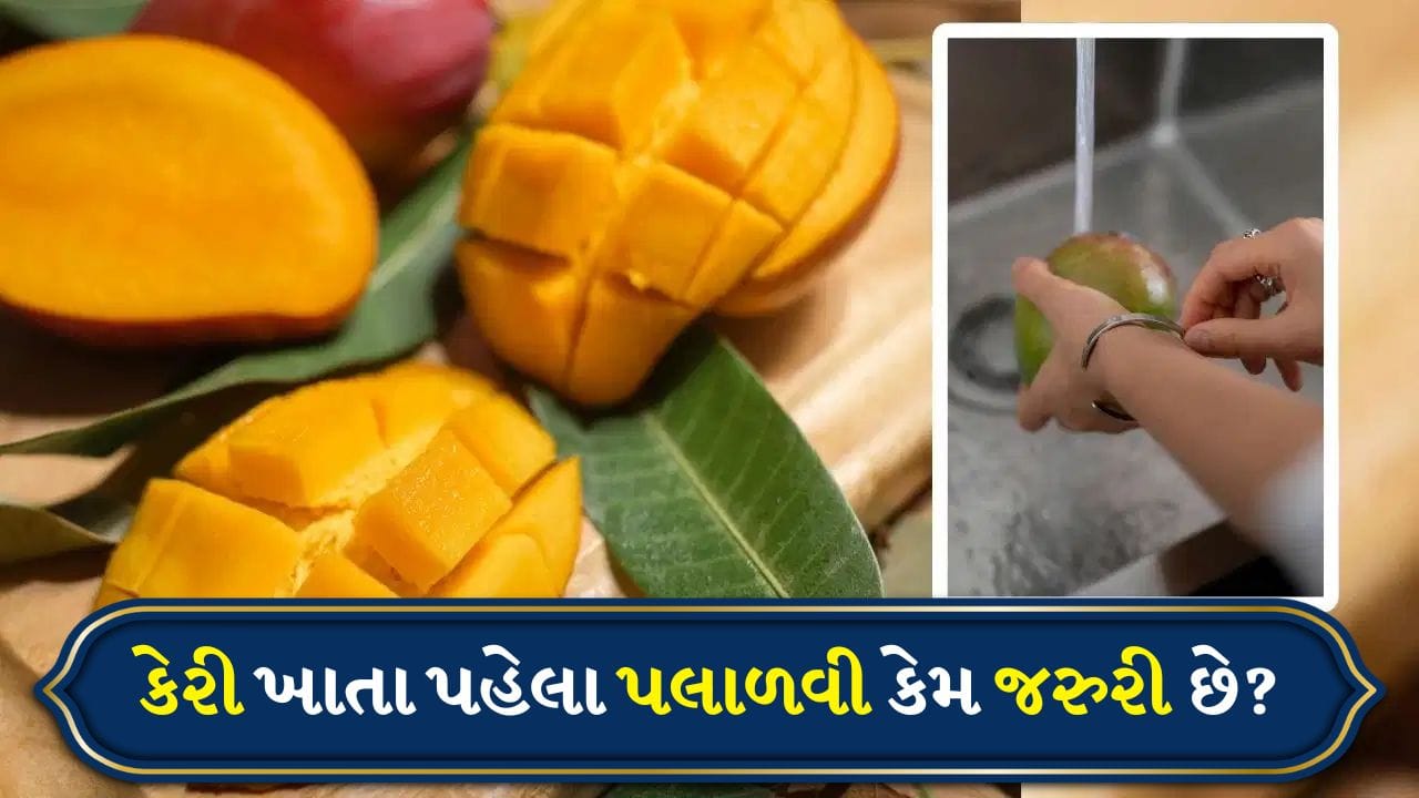 Mango Eating Tips: કેરી ખાતા પહેલા તેને પલાળી રાખવી કેમ મહત્વપૂર્ણ છે? જાણો તેના ફાયદાઓ વિશે