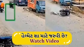હેલ્મેટ શા માટે જરૂરી? વીડિયોમાં કૂતરા સાથે અથડાઈ બાઇક, Watch Video
