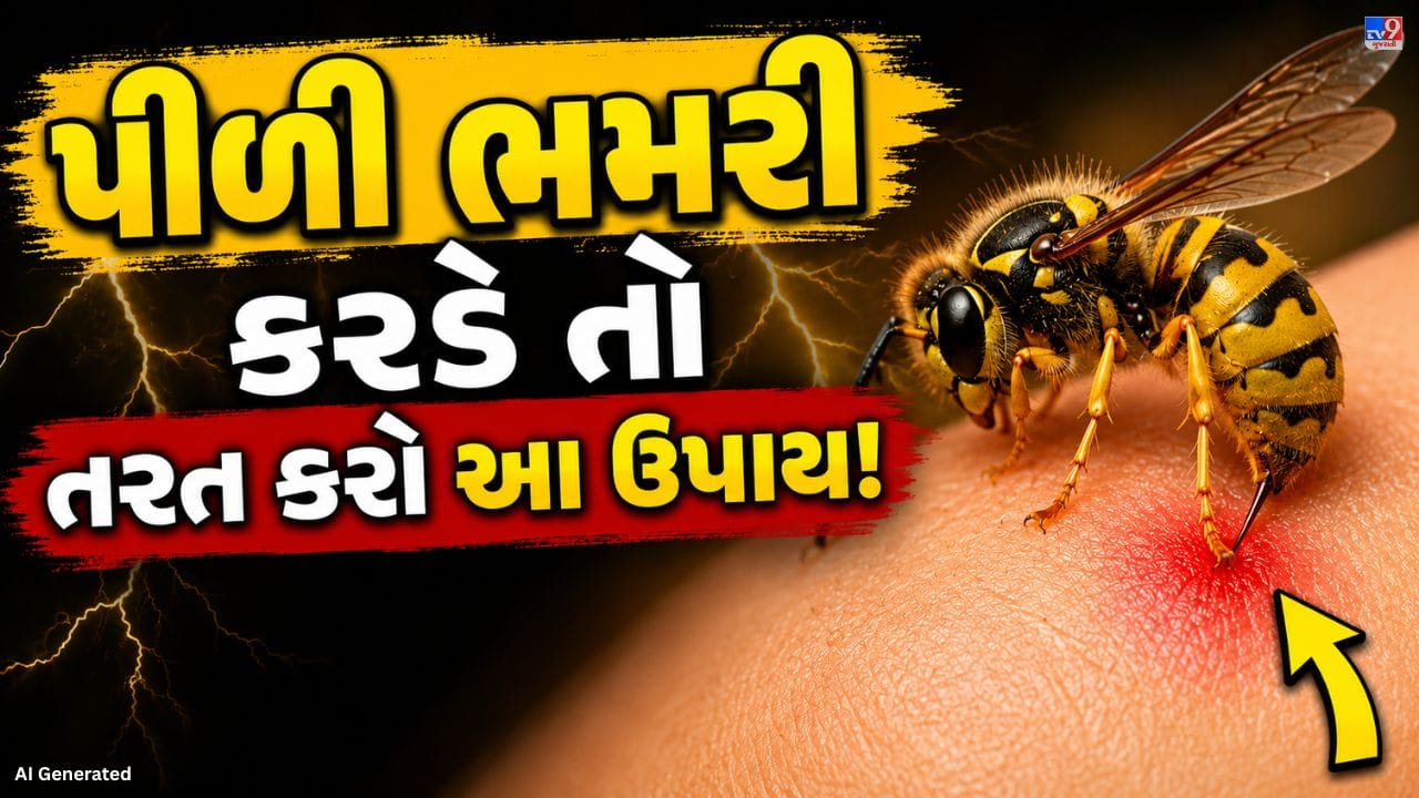 ઉનાળામાં પીળી ભમરીઓ ઘરોમાં માળા બનાવે છે. જો તેમના માળાને અડચણ પહોંચે તો તે ડંખ મારી શકે છે. ભમરીનો ડંખ ભારે દુખાવો અને સોજો લાવે છે, જે થોડા દિવસો સુધી રહી શકે છે. ખાસ કરીને ચહેરા પર ડંખ થાય તો તકલીફ વધુ લાગે છે. આવી સ્થિતિમાં ગભરાવાની જરૂર નથી, કેટલાક સરળ ઘરેલુ ઉપાયો દુખાવામાંમાં રાહત આપી શકે છે.