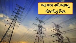 Zero Electricity Bill Villages: ગુજરાતના આ ગામમાં નથી આવતું વીજળીનું બિલ, કારણ જાણી નહીં થાય વિશ્વાસ