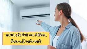 બિલ નહીં આવે વધારે ! ACને દોષ આપતા પહેલા રિમોટથી કરી લેજો આ સેટિંગ