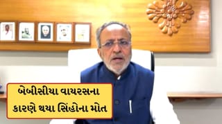 Breaking News : સિંહોના મોત મામલે વન અને પર્યાવરણ મંત્રી અર્જુન મોઢવાડિયાનું નિવેદન, બેબીસીયા વાયરસના કારણે થયા બે સિંહના મોત