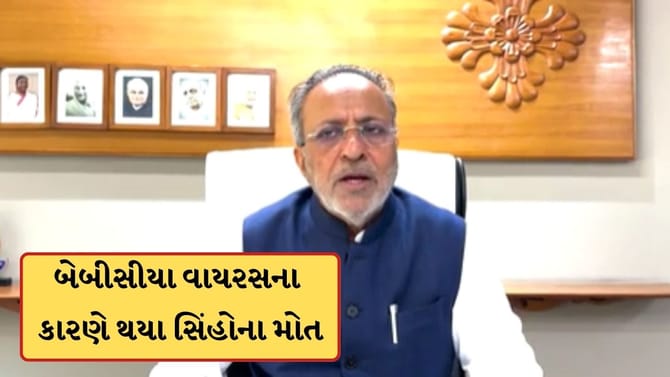 બેબીસીયા વાયરસના કારણે થયા બે સિંહના મોત-અર્જુન મોઢવાડિયા