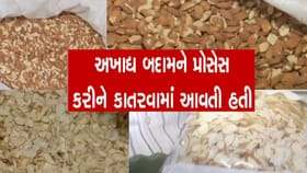 રાજકોટ આરોગ્ય વિભાગનો સપાટો, 2 ટન હલકી ગુણવતાની બદામનો જથ્થો ઝડપ્યો