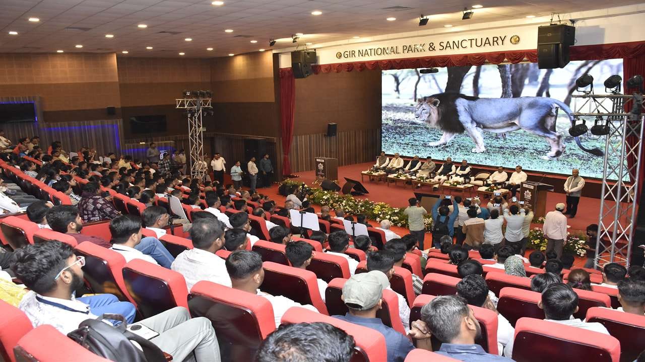 સિંહના વિચરણનો વિસ્તાર પણ પાછલા અઢી દાયકામાં ત્રણ જિલ્લાથી વધીને 11 સુધી પહોંચ્યો છે. પોરબંદરના બરડા પંથકમાં સિંહોનું કુદરતી રીતે આગમન થયું છે અને સરકારના પ્રયાસોથી બરડા અભ્યારણ્ય એશિયાટીક લાયનનું નવું રહેઠાણ બન્યું છે. 24 જેટલા સિંહ આજે બરડામાં વસવાટ કરે છે.