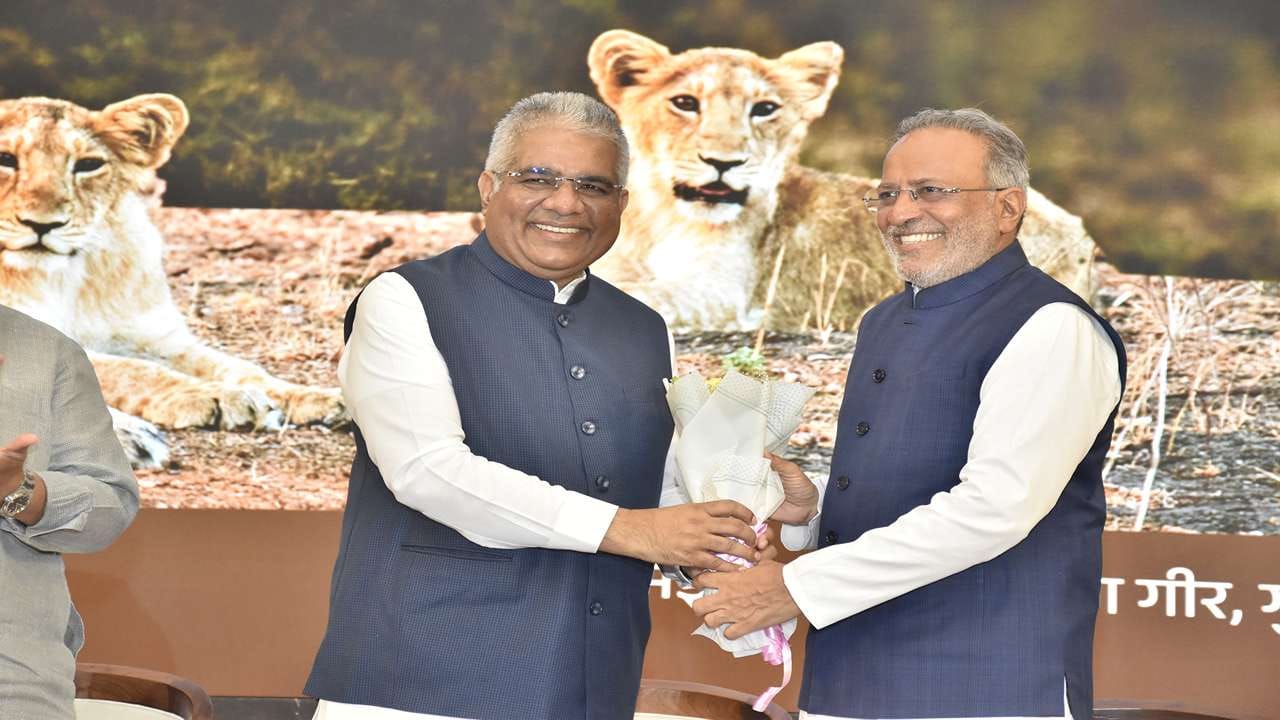 ગુજરાતની ભૂમિ પર બિલાડી કુળના મુખ્ય એવા સિંહ અને દિપડો તો જોવા મળી રહ્યા છે, તેમાં ઉમેરો થતાં રતન મહાલ અભયારણ્યમાં વાઘની હાજરી પણ જોવા મળી છે. તે સંદર્ભમાં વન અને પર્યાવરણ મંત્રી અર્જુનભાઈ મોઢવાડિયાએ જણાવ્યું કે, વાઘનો ગુજરાતની ભૂમિ પર વસવાટ કાયમી બને તેવા પ્રયાસો છે.