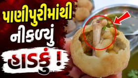 અમદાવાદમાં પાણીપુરીમાંથી નીકળ્યું હાડકું ! વીડિયો થયો વાયરલ-Video