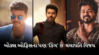 થલાપતિ વિજયની ટોપ 5 બ્લોકબસ્ટર ફિલ્મો, બોક્સ ઓફિસ પર કર્યો કમાણીનો વરસાદ