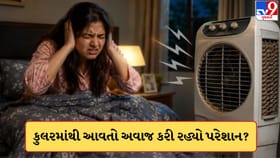 કુલરમાંથી આવતો ખટખટનો અવાજ કરી રહ્યો છે પરેશાન? તો અજમાવો આ સરળ ઉપાય