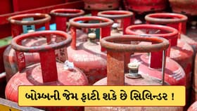 સાવધાન ! અતિશય ગરમીમાં ફાટી શકે છે LPG સિલિન્ડર, આ ધ્યાન રાખો