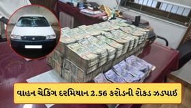 વાહન ચેકિંગ દરમિયાન કારમાંથી 2.56 કરોડની રોકડ ઝડપાઈ