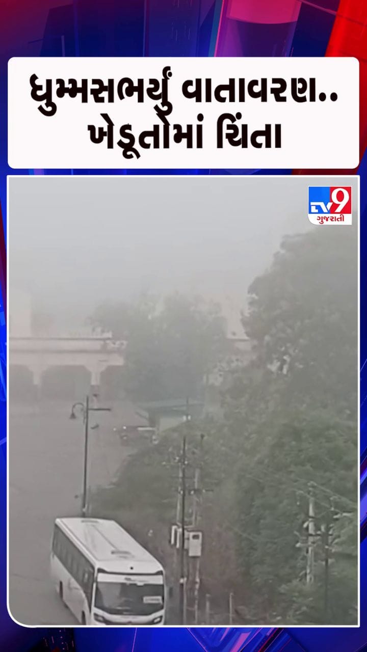 ધોરાજીમાં ધુમ્મસ છવાતા હિલ સ્ટેશન જેવો માહોલ