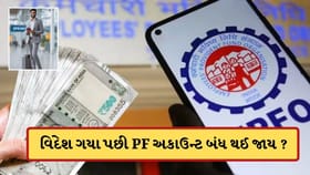વિદેશ ગયા પછી તમારા PF અકાઉન્ટનું શું થાય છે? જાણો પૈસા ઉપાડી શકાય..