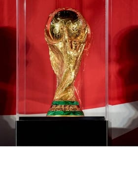 FIFA વર્લ્ડ કપની ટ્રોફીનું વજન કેટલું છે?