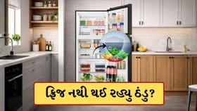 ફ્રિજમાં નથી થઈ રહી કુલિંગ? ગરમીમાં તરત ઓન કરી લો આ 5 સેટિંગ્સ