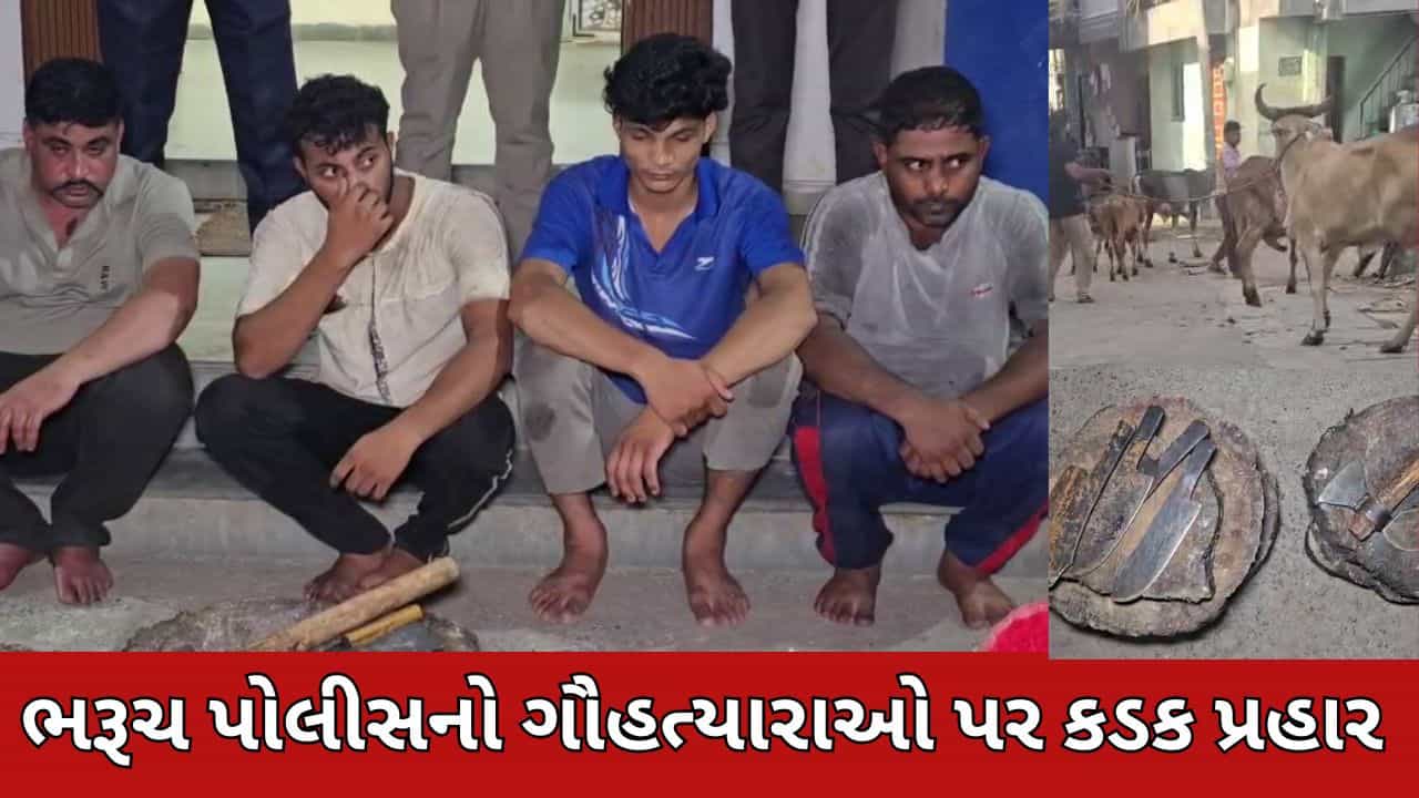 Breaking News : ભરૂચ પોલીસનો ગૌહત્યારાઓ પર કડક પ્રહાર - કતલખાનામાં દરોડો પાડી ગીરગાય સહિત 7 ગૌવંશને બચાવ્યા, 4 કસાઈઓ ઝડપાયા