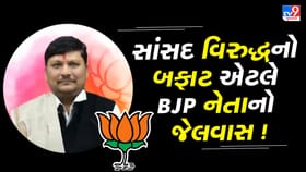 BJP નેતાને રાજ્યસભાના સાંસદ વિરુદ્ધનો બફાટ પડ્યો ભારે, જેલમાં ધકેલાયો