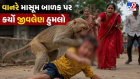 ઝૂમાં સહેલાણીઓ કેટલા સુરક્ષિત? પરિવાર પર વાનરનો હુમલો, બાળક લોહીલુહાણ