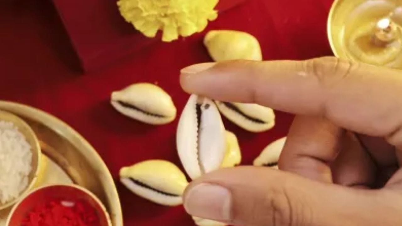 સફેદ કે પીળી કોડી :  પર્સમાં સફેદ કે પીળી કોડી રાખવી પણ ફાયદાકાર છે તે દેવી લક્ષ્મીના પ્રતીક તરીકે પૂજનીય માનવામાં આવે છે, જે સમુદ્ર મંથન માંથી ઉદ્ભવી છે. તમારા પાકીટમાં એક કે ત્રણ સફેદ કે પીળી કોડી રાખવાથી નાણાકીય તકલીફ ઓછી થાય છે અને લાભના સંકેત મળે છે. 