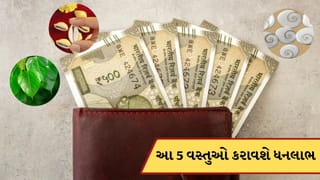 પૈસાની સાથે પર્સમાં રાખો આ 5 વસ્તુઓ, સમુદ્ધિ અને ધન લાભ વધી જશે