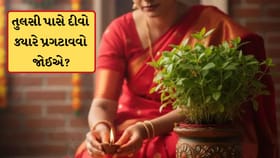 તુલસી ક્યારે દીવો કયા સમયે પ્રગટાવવો જોઈએ? વાસ્તુનો આ નિયમ જાણી લેજો