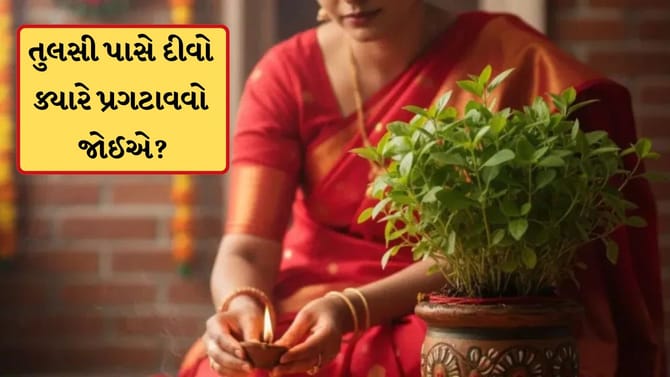 તુલસી ક્યારે દીવો કયા સમયે પ્રગટાવવો જોઈએ? વાસ્તુનો આ નિયમ જાણી લેજો