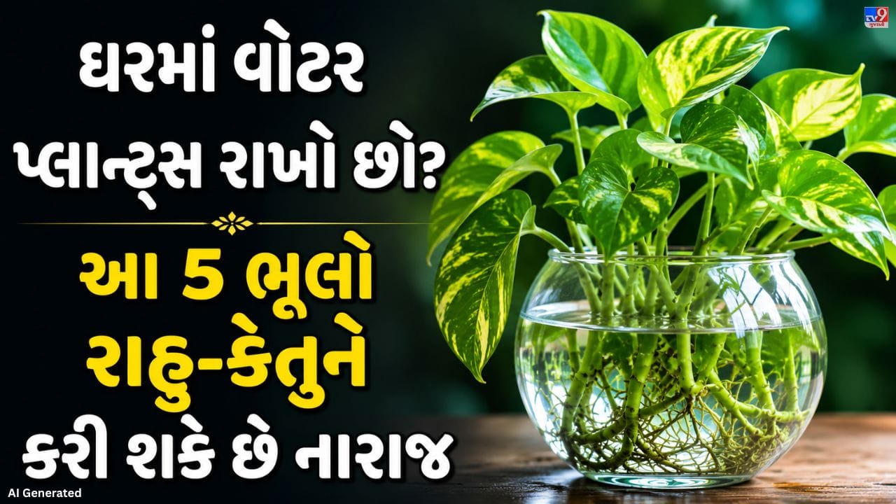 વોટર પ્લાન્ટ્સ ઘરની સુંદરતા અને સકારાત્મક ઉર્જા વધારવા માટે લોકપ્રિય બન્યા છે. મની પ્લાન્ટ અને લકી બાંબૂ જેવા છોડ આજે ઘણા ઘરોમાં જોવા મળે છે. પરંતુ વાસ્તુ મુજબ, આ પ્લાન્ટ્સ રાખતી વખતે કેટલીક ભૂલો કરવાથી રાહુ-કેતુના નકારાત્મક પ્રભાવનો સામનો કરવો પડી શકે છે.