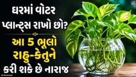 ઘરમાં વોટર પ્લાન્ટ્સ રાખો છો? આ 5 ભૂલો બની શકે છે દુર્ભાગ્યનું કારણ