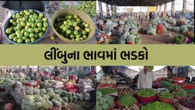 લીંબુના ભાવ 300 ને પાર: ગરમીમાં શાકભાજીના ભાવમાં 30 ટકાનો તોતિંગ ઉછાળો