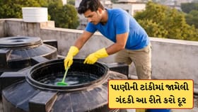 પાણીની ટાંકીમાં જામી ગઈ છે ગંદકી, તો બસ આ એક વસ્તુથી કરો સાફ