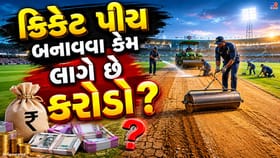 આંતરરાષ્ટ્રીય ક્રિકેટ પીચ બનાવવા પાછળ થાય છે કરોડોનો ખર્ચ!