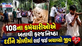 નર્મદા: 108ની ટીમની સરાહનિય કામગીરી, દર્દીને ઝોળીમાં લઈ જઈ બચાવ્યો જીવ