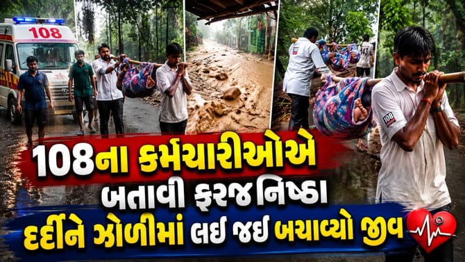 નર્મદા: 108ની ટીમની સરાહનિય કામગીરી, દર્દીને ઝોળીમાં લઈ જઈ બચાવ્યો જીવ