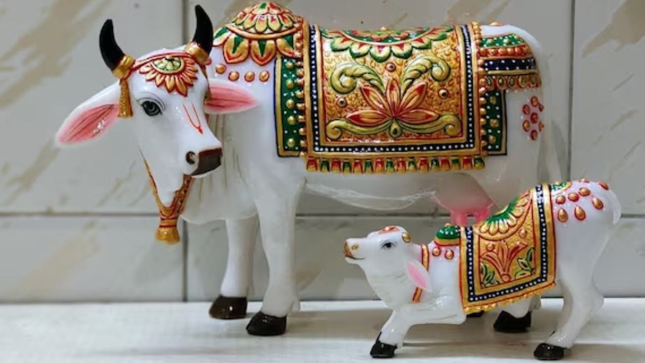 કામધેનુ ગાય : ઘરમાં કામધેનુ ગાયની મૂર્તિ રાખવાથી ધન, અનાજ અને સમૃદ્ધિમાં વધારો થઈ શકે છે. ઘરમાં કામધેનુ ગાયની મૂર્તિ રાખવી શુભ માનવામાં આવે છે.