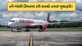 ટિકિટ પર મળશે મોટું ડિસ્કાઉન્ટ ! એર ઈન્ડિયા લાવી રહી No Meals ટિકિટ
