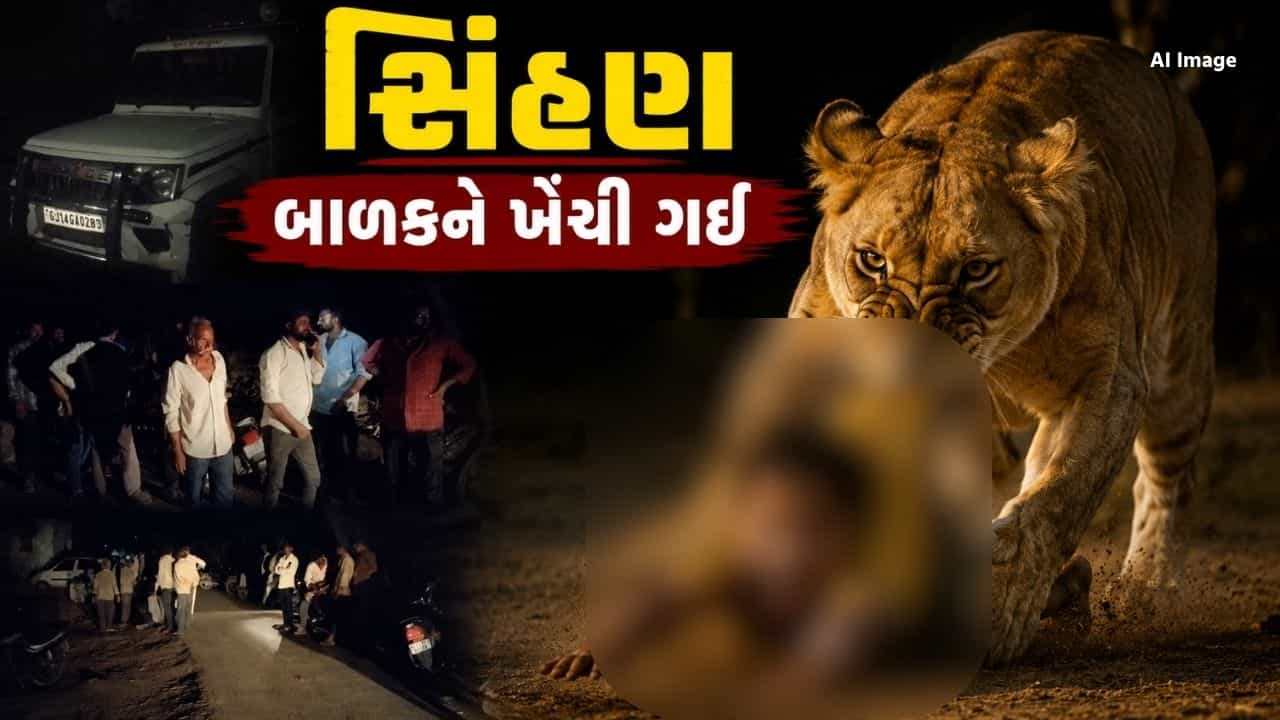 Breaking News : અમરેલીમાં સિંહણના ત્રીજા હુમલામાં બાળકનું મોત, ગ્રામજનોમાં ભારે આક્રોશ, જુઓ Video