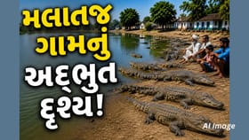 150+ મગરોનું અનોખું મલાતજ ગામ, 'ડેન્જરસ' નહીં પરંતુ 'માણસમિત્ર'