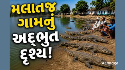 150+ મગરોનું અનોખું મલાતજ ગામ, 'ડેન્જરસ' નહીં પરંતુ 'માણસમિત્ર'