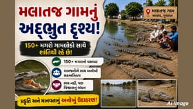 150+ મગરોનું અનોખું મલાતજ ગામ, 'ડેન્જરસ' નહીં પરંતુ 'માણસમિત્ર'