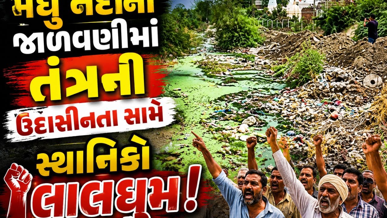 બોટાદમાં મધુ નદીમાં કચરો ઠલવાતા સ્થાનિકોમાં ભારે રોષ, ચોમાસામાં પાણી ભરાવાની ભીતિ- Video બોટાદમાં મધુ નદીમાં કચરો ઠલવાતા સ્થાનિકોમાં ભારે રોષ, ચોમાસામાં પાણી ભરાવાની ભીતિ- Video