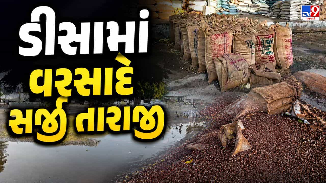 Breaking News : બનાસકાંઠાના ડીસામાં વાવાઝોડા અને વરસાદે મચાવી તબાહી, માર્કેટયાર્ડમાં કરોડોનું નુકસાનની આશંકા, જુઓ Video