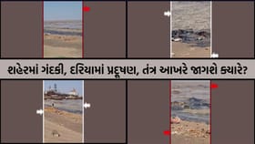 અલંગ દરિયામાં પ્રદૂષણનો આરોપ, વીડિયો વાયરલ બાદ રોષ