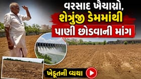 ભાવનગર: ધરતીપુત્રોએ પાક બચાવવા શેત્રુંજી ડેમમાંથી પાણી છોડવાની કરી માગ