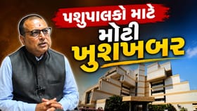 સાબરકાંઠા અને અરવલ્લીના પશુપાલકો માટે મોટી ખુશખબર
