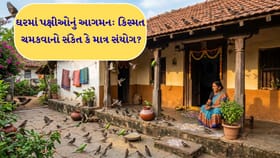 ઘરમાં પક્ષીઓનું આવવું કિસ્મત બદલાવાનો સંકેત?