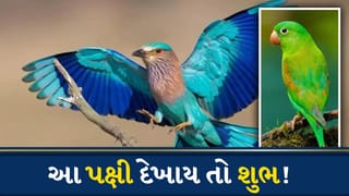સવારે આ પક્ષીઓ દેખાય તો બદલાઈ શકે છે તમારું નસીબ, જાણો શું કહે છે શુકનશાસ્ત્ર
