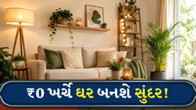 ઓછા બજેટમાં ઘર બનાવો લક્ઝુરિયસ, અપનાવો આ સ્માર્ટ ડેકોર ટિપ્સ