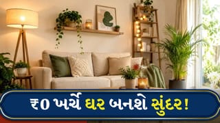 ઓછા બજેટમાં પણ તમારું ઘર બનશે શાનદાર, ફક્ત આ સરળ ટિપ્સ ફોલો કરો