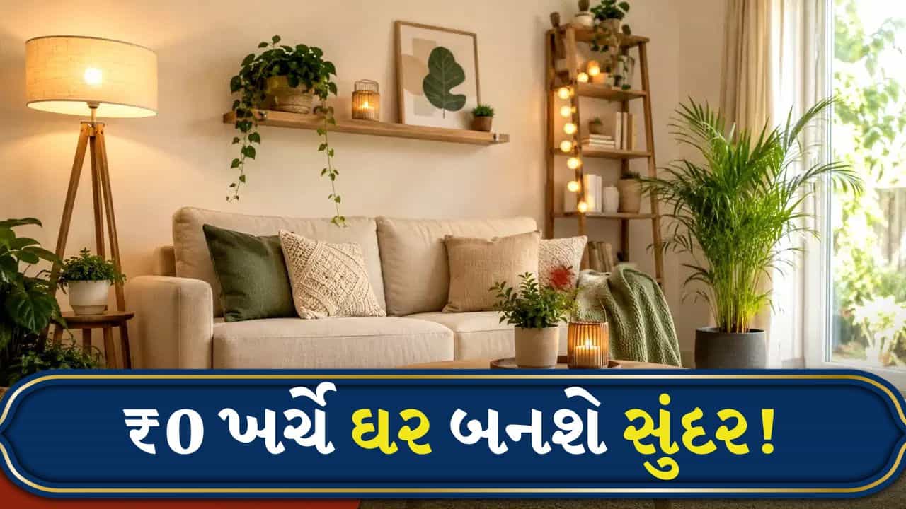 ઓછા બજેટમાં પણ તમારું ઘર બનશે શાનદાર, ફક્ત આ સરળ ટિપ્સ ફોલો કરો