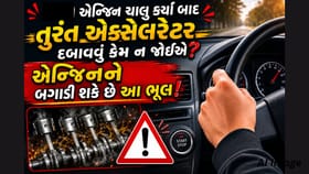 કાર સ્ટાર્ટ કર્યા પછી તરત જ રેસ આપો છો?